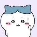 545 | [프라하] 아시아나 OZ545 이코노미 충전 타입&amp;기내식 좌석 후기