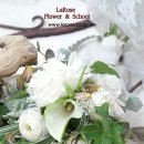 릴리플라워 이미지