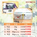 [판매종료] 김천 거봉포도 직거래 합니다. 4kg - 29,000원 이미지