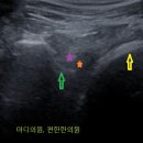 마디의원;편한한의원 이미지