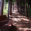 산림욕장 이미지