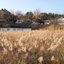 보문호반길 이미지