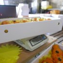 천금농장 이미지