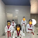 용인대정현태권도장 이미지