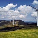 삼양목장 이미지