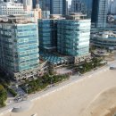팔레드시즈 네이버블로그