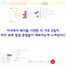 서울교육대학교부설초등학교 이미지