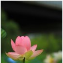 (주)이태 이미지