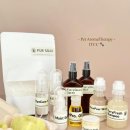 나의 단짝 반려동물 이미지