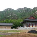 송학사 Daum카페