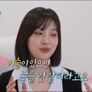 조이애견