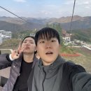 하이원 하늘아래 동물농장 이미지