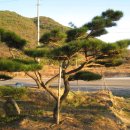 지리산농장 이미지