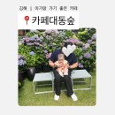 대동, 커피집 | [김해 대동]김해 아기랑 갈만한 곳 카페 대동숲 수유실 있는 예스키즈존 애견동반 솔직후기