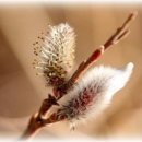 한걸음가게 이미지