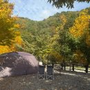 B17-2 | 전북 전주 근교 무주 깊은골캠핑장 실시간 단풍 캠핑 추천(B17 사이트)