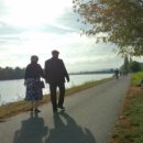 치매라고 진단되면, 앞으로 어떻게 하면 좋은가？ 이미지