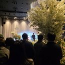 11545-09-60-26 | W1. 수원 더 시그너스 웨딩홀 26년 하반기, 9월 견적 공유 O/계약 O (feat. 더케이 웨딩컨벤션)