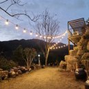 전남민박 이미지