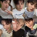 선화목장 | 8월아 왜 도망가 수줍은 아이처럼,,🌀🌀