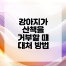 산책동물병원 이미지