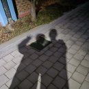 부일미용실 | 행복이-37세임신일기 ,임신29주~32주 임당산모식단,임당외식메뉴,임당간식 4주간 기록및 임산부일상편