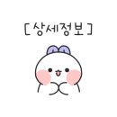 비엔동물전문의료센터 이미지
