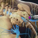 씨에스나무병원 이미지