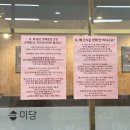 마이 비러브드 퍼피 이미지