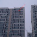 덕진-14 이미지