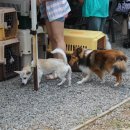 호서전문학교 이미지