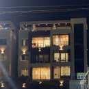 36.오도B 이미지