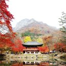 백양사 쌍계루 이미지