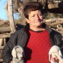 기형농장 이미지