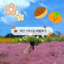 태안 1박2일 여행 후기-1편/태안가볼만한곳/태안맛집추천
