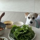 다올한방병원 이미지