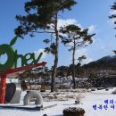 허브밸리(암석원) 티스토리