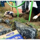 바람개비 조형물 이미지