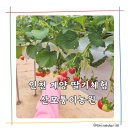 산모퉁이농원
