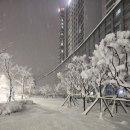 조군셀프세차장 이미지