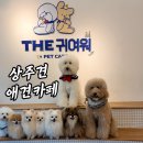 개귀여워 | 더귀여워 홍대 애견카페 서울 강아지 상주견 카페
