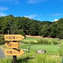 우신카서비스 이미지