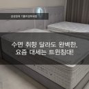 금성침대기흥 | [금성침대수원] 요즘 대세는 트윈 침대! 수면 취향 달라도 완벽한 트윈침대 인테리어 [금성침대 용인...