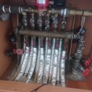 목련1차 이미지