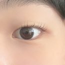 또렷한 눈매 완성! 대전속눈썹펌 잘하는 곳, 소월아이래쉬 후기💫