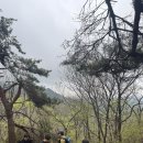 팀위너 복싱핏 | 선부동 안산제일복싱 목감동 팀위너복싱 회원님들과 주말 수암봉 훈련 다녀왔습니다 :)