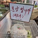 거제회직판장