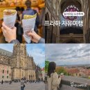 나팔소리여행사 | 프라하 자유여행 오전 반일 투어 코스 밀리유럽 프라하성