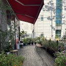 천이오겹살 보라매점 | 보라매역 근처 맛집 천이오겹살 유명한이유