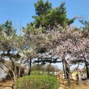 중앙공원 주차장정문 이미지